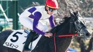 ナダル産駒のJRAオープン初勝利なるか バイオレットSに2戦2勝のベルギューン参戦