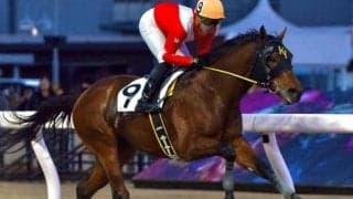 【川崎・クラウンC枠順】無傷3連勝中のアーサは2枠2番