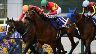 阪神芝はコンディション良好 ロスなく運べる先行勢がベター