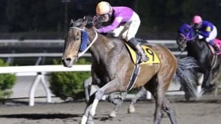 【高知競馬】ルーキー近藤翔月騎手が初勝利