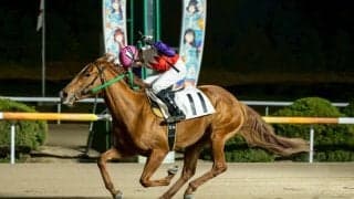 【佐賀競馬】ルーキー林悠翔騎手が初勝利