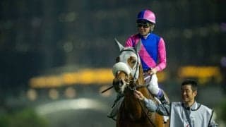 【ドバイターフ】武豊「良い走りでした」メイショウタバルは逃げ粘って5着