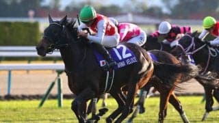 【桜花賞登録馬】アルマヴェローチェなど24頭