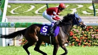 【阪神牝馬S登録馬】ボンドガールなど15頭