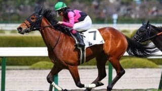 【ニュージーランドT登録馬】無敗のムイなど15頭