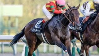 【ニュージーランドT見どころ】プリティディーヴァの重賞初制覇に期待