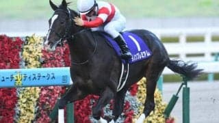 【25年の新種牡馬たち】17年2歳王者のダノンプレミアム 産駒には父が届かなかったクラシック制覇を期待