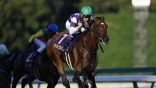 【川崎記念枠順】サンライズジパングは5枠7番、グランブリッジは8枠12番