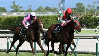 【桜花賞出走馬決定順】フルゲート18頭に対して24頭が登録 スリールミニョンなどが除外対象