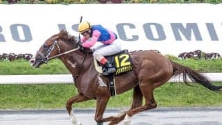 【先週のJRA抹消馬】ダートで長く活躍のメイショウテンスイ、芝・ダの短距離で計5勝のホープフルサインなど