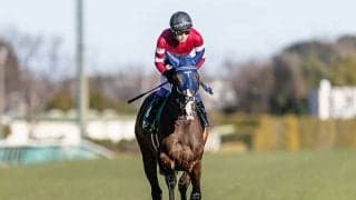 【阪神牝馬S想定騎手】ボンドガールは武豊騎手、スウィープフィートは横山典弘騎手