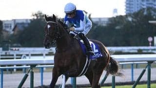 【ニュージーランドT想定騎手】アドマイヤズームは川田将雅騎手、コートアリシアンは菅原明良騎手