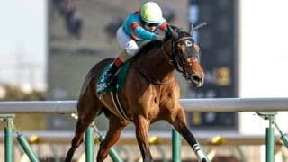 【AI予想・桜花賞】近況のリズムや前走での距離経験が好走の鍵！ 平穏な決着を示唆する人工知能の本命候補