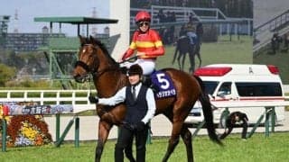 今年のJRA・GIはロードカナロア産駒が独占中 優秀性際立つ血統配合とは