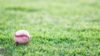 四国IL・徳島が社会人大会で躍動！”独立の雄”が強豪社会人チームと互角の戦い演じる！