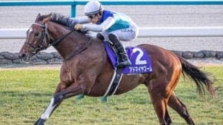 朝日杯FS覇者がニュージーランドTで始動 意外？ なジンクスを破り3連勝へ