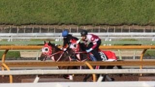 ジュタなど、先週の入厩情報/栗東トレセンニュース