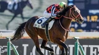 皐月賞はフルゲート18頭に対して21頭が登録 収得賞金1600万円で1/2抽選に