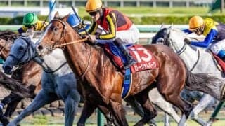 【豪・クイーンエリザベスS枠順】ジオグリフは2番ゲート、ローシャムパークは12番ゲート