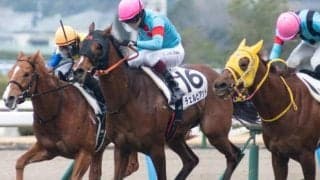 牝馬でGI・6勝の名伯楽 「ゆかりの血統」で桜花賞初制覇なるか