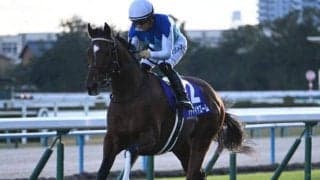 【ニュージーランドT予想オッズ】アドマイヤズームが予想1番人気