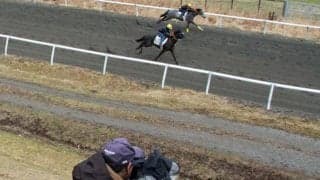 56頭が新冠町で採血と調教VTR撮影 ゴール前1ハロン最速はタワーオブロンドン産駒など2頭