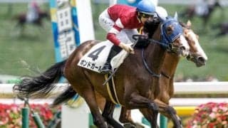 【阪神牝馬S予想オッズ】ボンドガールが予想1番人気