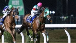 【川崎記念】連覇狙うライトウォーリアは1枠1番へ