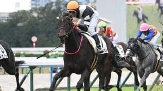 【ニュージーランドT展望】データから浮かぶ穴馬シュバルツマサムネを狙いたい