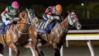 【川崎記念注目馬】13頭中11頭が重賞ウイナー 豪華メンバーで争われる大一番