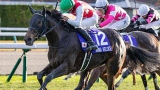 戴冠なら史上7頭目 2歳女王が直行ローテで桜花賞に挑む