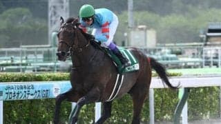 【アンタレスS想定】ヤマニンウルス、ミッキーファイトなど12頭