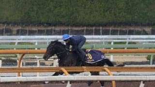 ミュージアムマイル、皐月賞1週前追い切り速報/栗東トレセンニュース