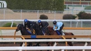 クロワデュノール、皐月賞1週前追い切り速報/栗東トレセンニュース