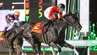 重賞3勝のアーテルアストレアが登録抹消 今後は繁殖入りへ