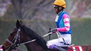 武豊騎手が21年ぶりの桜花賞6勝目へ 石橋守厩舎のウォーターガーベラと参戦