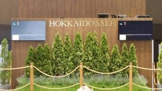 トレーニングセール上場予定馬が採血と調教VTR撮影を実施 リアルスティール産駒など2頭が最速タイム