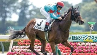 【桜花賞予想】妙味ある伏兵は見当たらず？ AI推奨馬のレースでの信頼度を分析