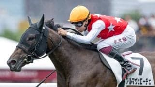 【桜花賞展望】GIからの直行ローテでアルマヴェローチェがGI2勝目を狙う