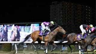 【川崎記念】幸「立て直したのがちょっと痛かった」サンライズジパングは3着