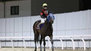 【川崎記念】矢野「良い展開」ディクテオンは惜しい2着