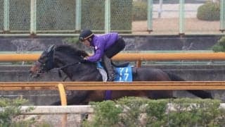 ジュンブロッサム、マイラーズC2週前追い切り速報/栗東トレセンニュース