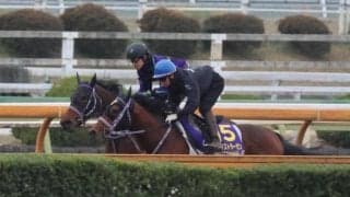 ファウストラーゼンなど、皐月賞1週前追い切り速報/栗東トレセンニュース