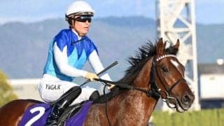 【ニュージーランドT出走馬・騎手確定】アドマイヤズーム＆川田将雅騎手、コートアリシアン＆菅原明良騎手など14頭