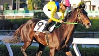 千葉ロッテ吉井監督の所有馬 野球界と競馬界のレジェンドの「初コラボ」で覚醒なるか