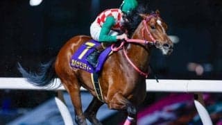 【川崎・ネクストスター東日本結果】1番人気ガバナビリティーが重賞初制覇