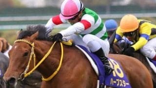 ダイワスカーレットやハープスターなど名牝揃い 阪神8枠から生まれた桜の女王たち