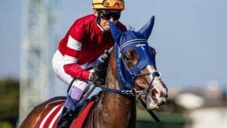 【阪神牝馬S枠順確定】ボンドガールは6枠10番、スウィープフィートは5枠7番