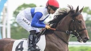 G1・2勝を挙げた名スプリンターの全妹 待望の初勝利なるか