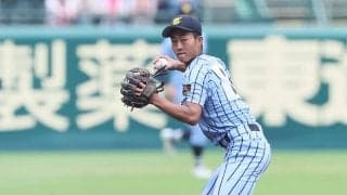 日体大が新入生を発表！甲子園で美技連発の東海大相模遊撃手、神奈川公立校NO.1右腕、元巨人内野手の弟などが入部